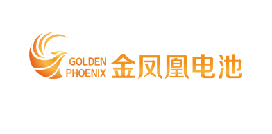 揭阳电池